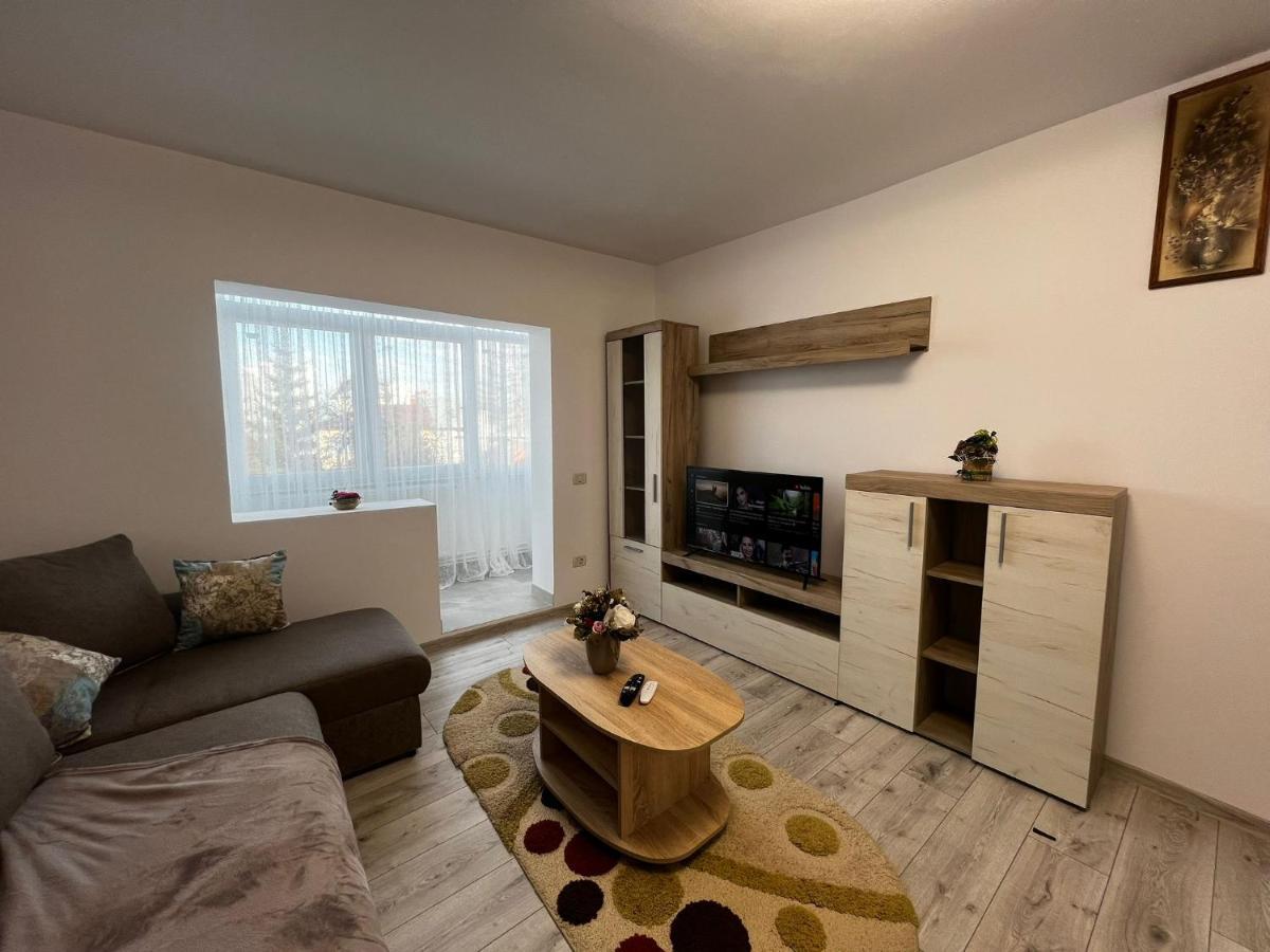 Cozy Urban Accommodation In Beautiful Suceava Esterno foto